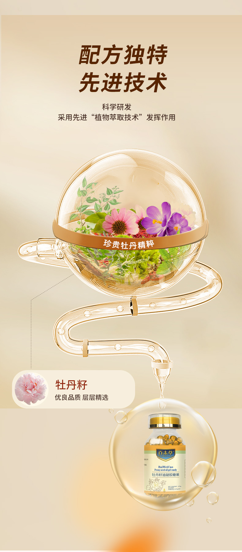 牡丹籽油凝膠糖果詳情_06.jpg